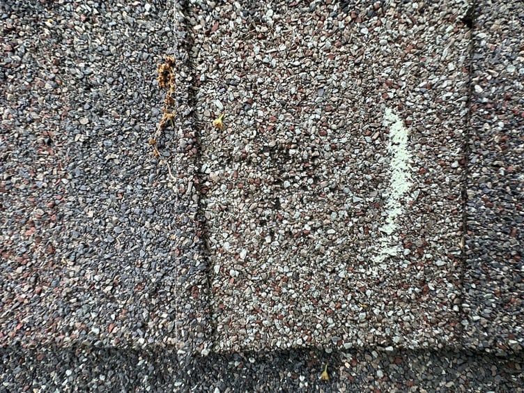 7294bfe1-6641-42d4-88e3-01d612181dfd