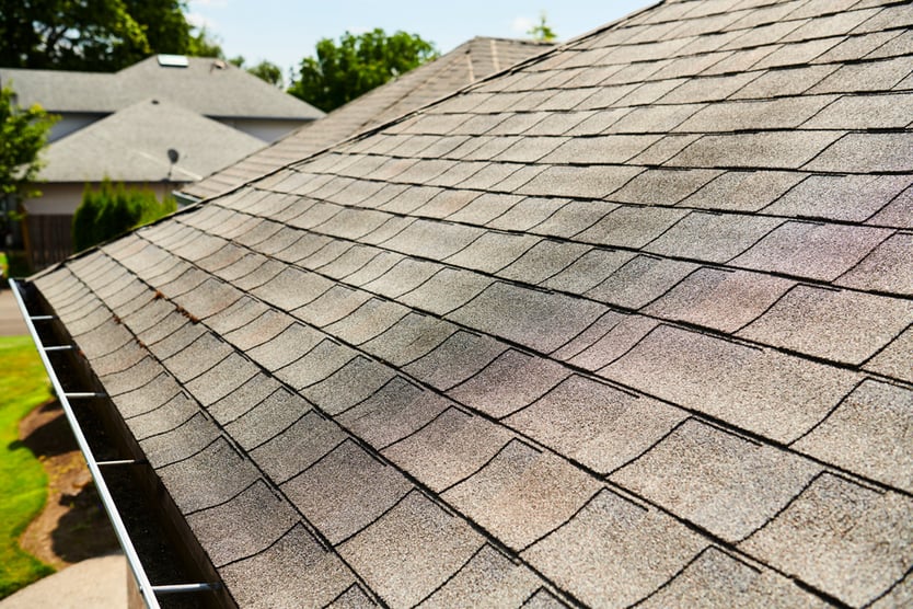 Algae Streaks on Roof
