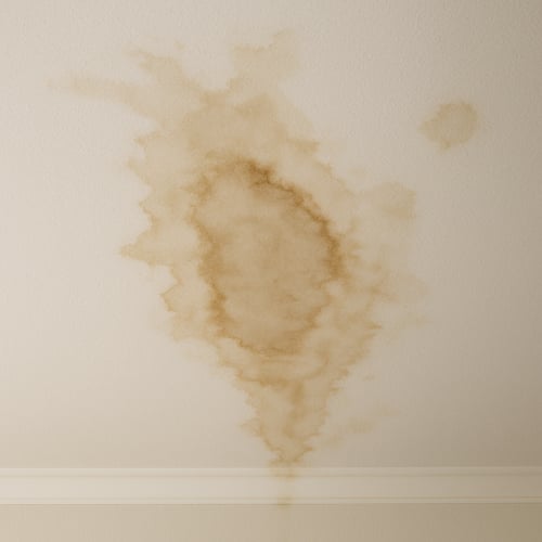 image of water stain on ceiling