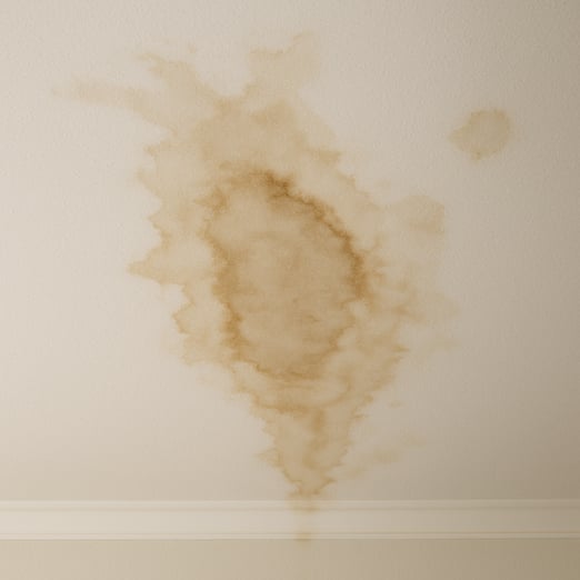 Ceiling stain example