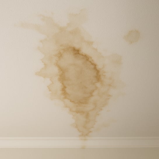 Ceiling stain from roof leak