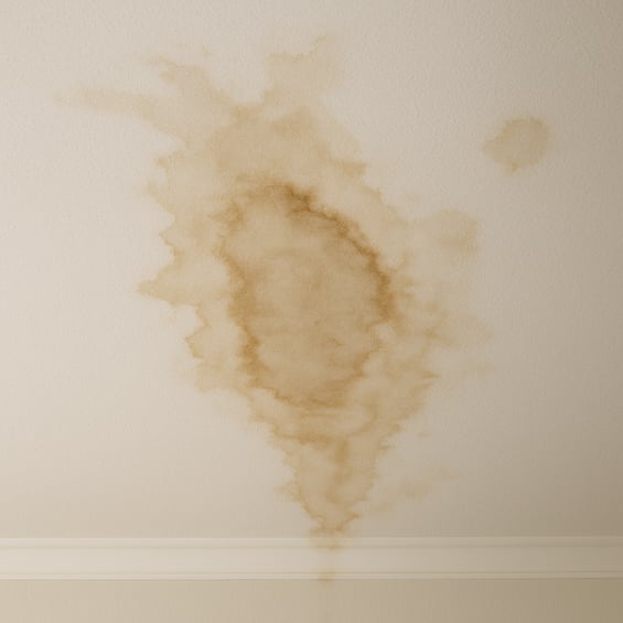 Ceiling stain from a roof leak