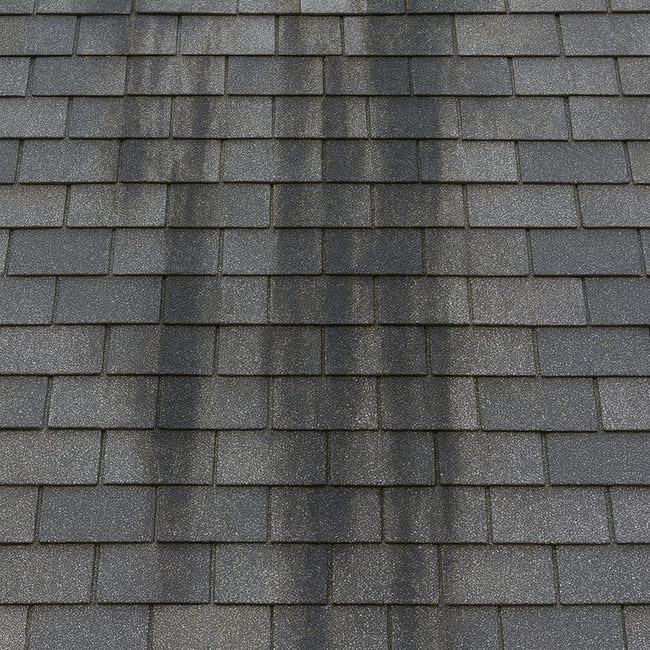 Algae streaks on asphalt shingles