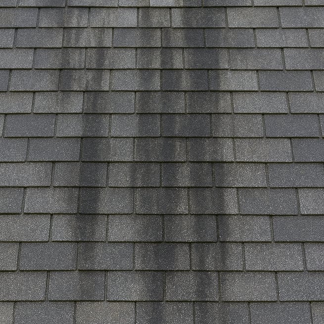 Algae streaks on asphalt shingles