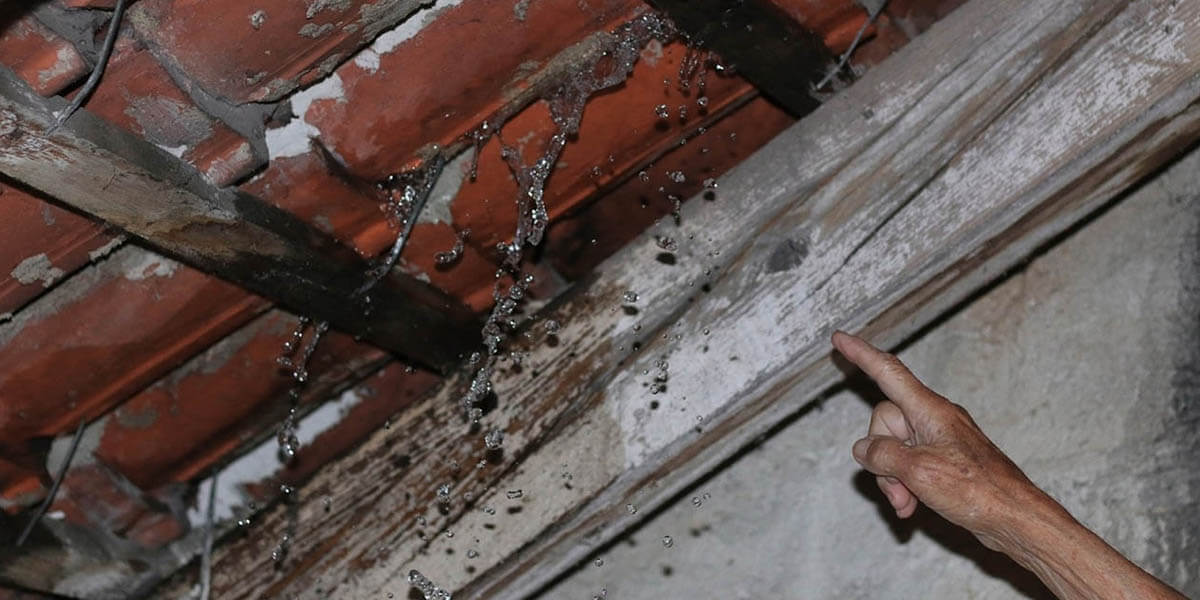 How To Know Whether To Repair, Patch, or Replace Your Roof Featured Image