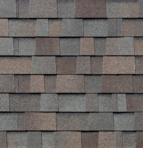 Malarkey Architectural Shingle Close