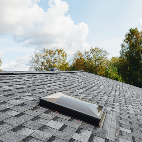 Roof 3
