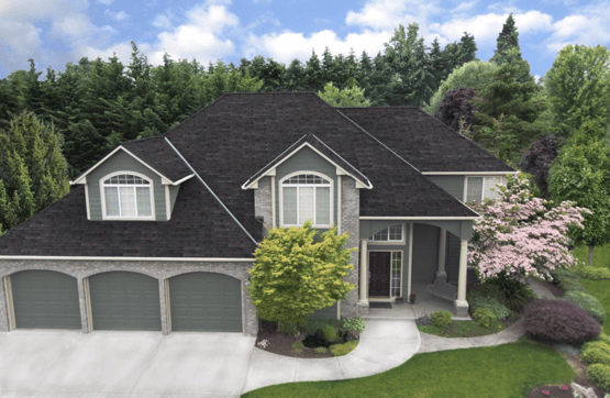 black oak malarkey