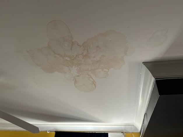 ceiling_stain