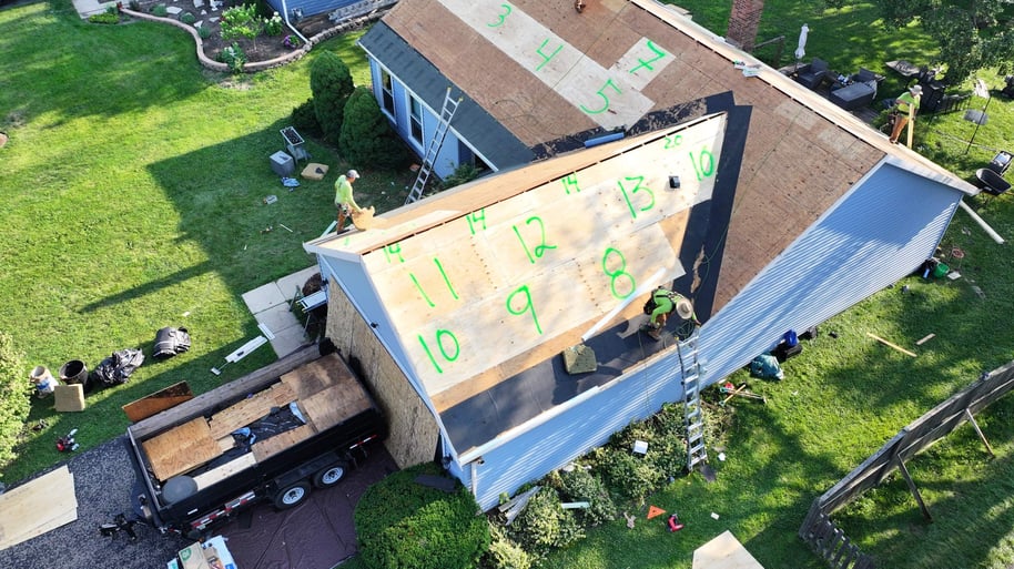 Progress Photo Numbered Plywood