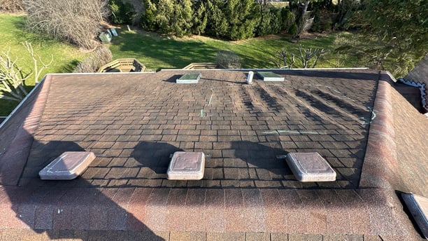 Example of a Warped Roof 