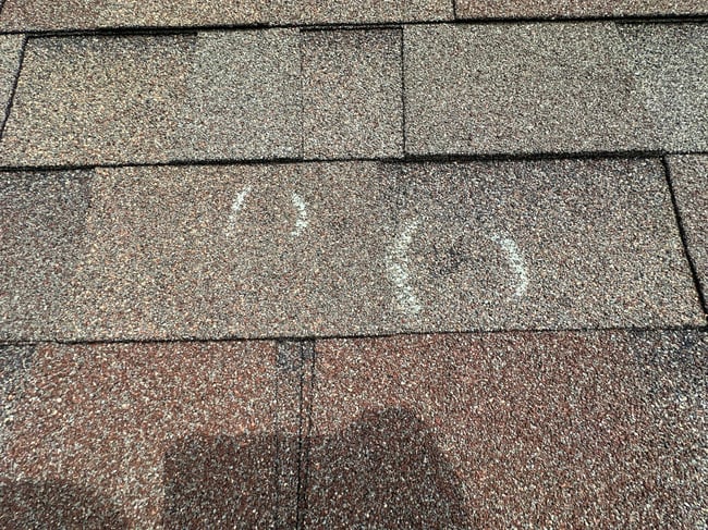 hail-impact-malarkey-roof-4