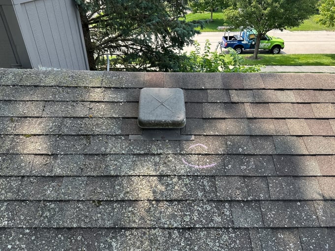 roof-lichen-growth